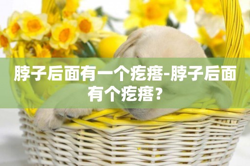脖子后面有一個疙瘩-脖子后面有個疙瘩？