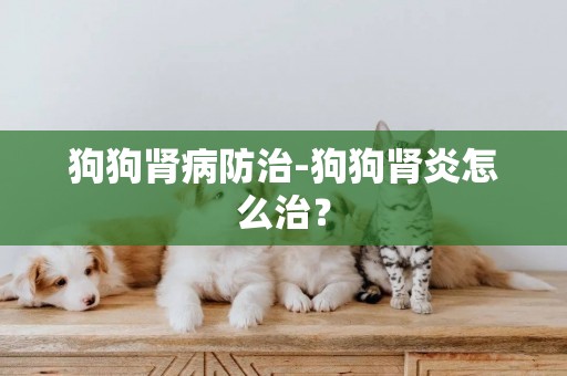 狗狗腎病防治-狗狗腎炎怎么治？