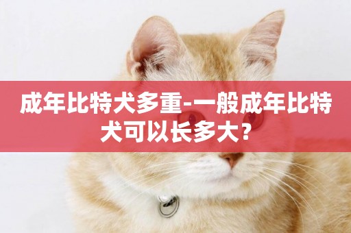 成年比特犬多重-一般成年比特犬可以長多大？