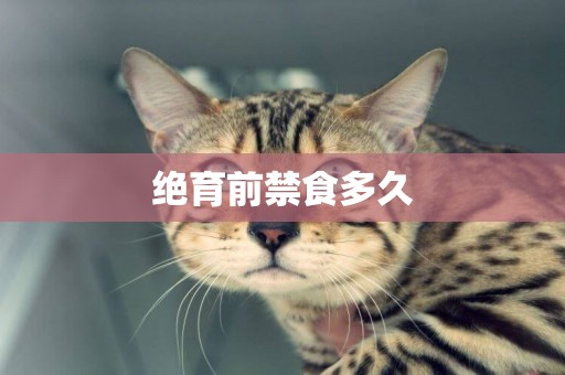 絕育前禁食多久