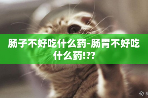 腸子不好吃什么藥-腸胃不好吃什么藥!??