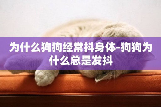 為什么狗狗經常抖身體-狗狗為什么總是發抖