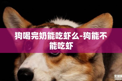 狗喝完奶能吃蝦么-狗能不能吃蝦