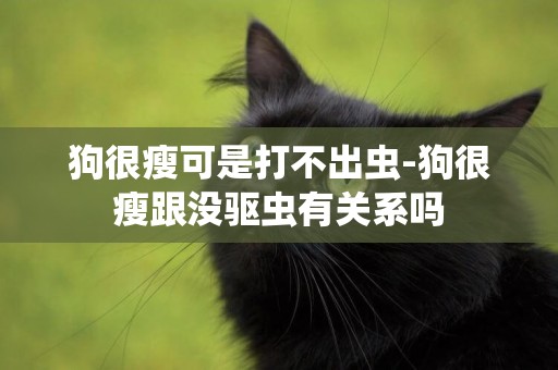 狗很瘦可是打不出蟲-狗很瘦跟沒驅蟲有關系嗎