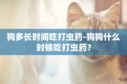狗多長時間吃打蟲藥-狗狗什么時候吃打蟲藥？