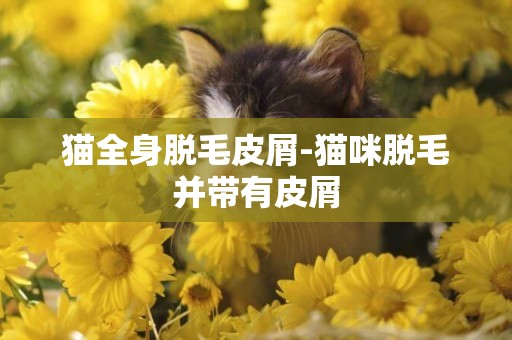 貓全身脫毛皮屑-貓咪脫毛并帶有皮屑