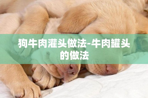 狗牛肉灌頭做法-牛肉罐頭的做法