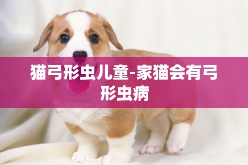 貓弓形蟲兒童-家貓會有弓形蟲病