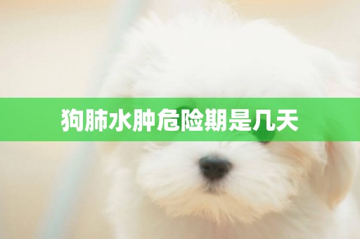 狗肺水腫危險期是幾天