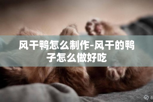 風干鴨怎么制作-風干的鴨子怎么做好吃
