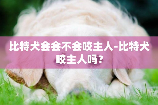 比特犬會會不會咬主人-比特犬咬主人嗎？