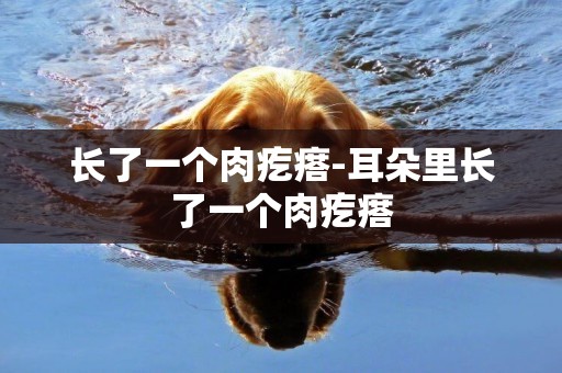長了一個肉疙瘩-耳朵里長了一個肉疙瘩