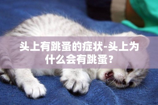 頭上有跳蚤的癥狀-頭上為什么會有跳蚤？