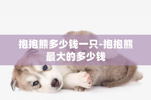抱抱熊多少錢一只-抱抱熊最大的多少錢