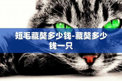 短毛藏獒多少錢-藏獒多少錢一只