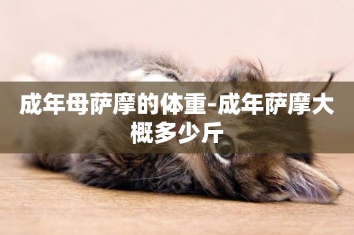 成年母薩摩的體重-成年薩摩大概多少斤