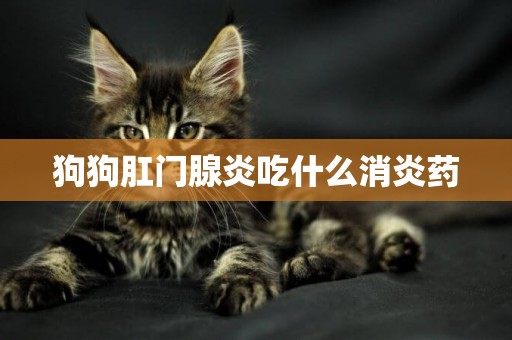 狗狗肛門腺炎吃什么消炎藥