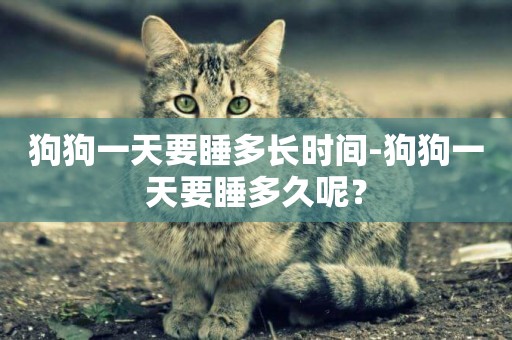 狗狗一天要睡多長時間-狗狗一天要睡多久呢？