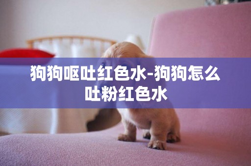 狗狗嘔吐紅色水-狗狗怎么吐粉紅色水