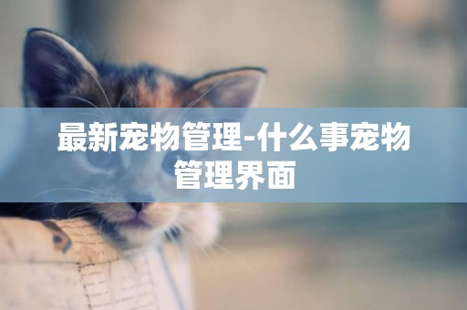 最新寵物管理-什么事寵物管理界面