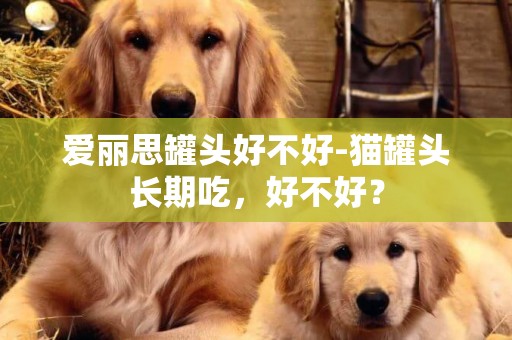 愛麗思罐頭好不好-貓罐頭長期吃，好不好？