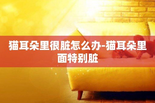 貓耳朵里很臟怎么辦-貓耳朵里面特別臟