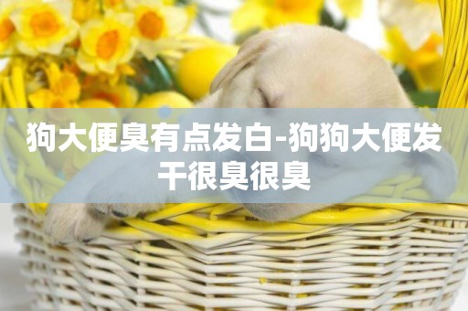 狗大便臭有點發白-狗狗大便發干很臭很臭