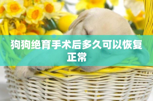 狗狗絕育手術后多久可以恢復正常