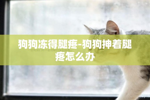 狗狗凍得腿疼-狗狗抻著腿疼怎么辦