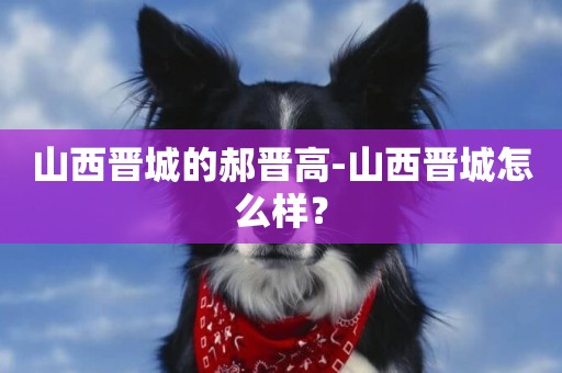 山西晉城的郝晉高-山西晉城怎么樣？