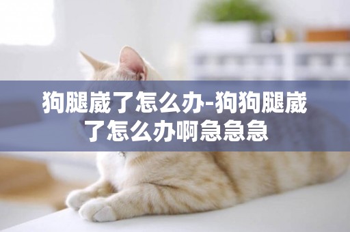 狗腿崴了怎么辦-狗狗腿崴了怎么辦啊急急急