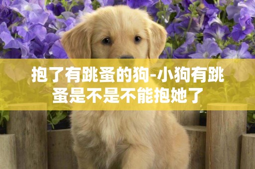 抱了有跳蚤的狗-小狗有跳蚤是不是不能抱她了