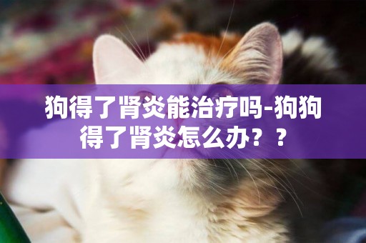狗得了腎炎能治療嗎-狗狗得了腎炎怎么辦？？