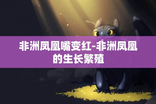 非洲鳳凰嘴變紅-非洲鳳凰的生長繁殖