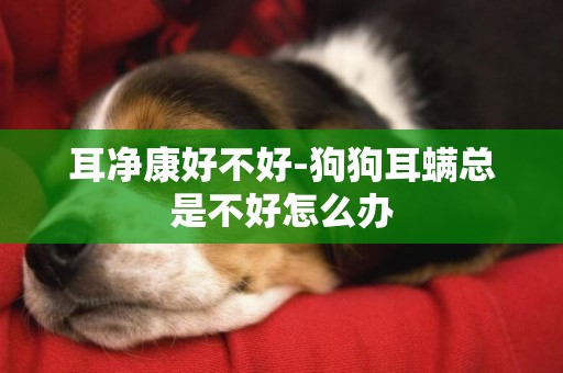 耳凈康好不好-狗狗耳螨總是不好怎么辦