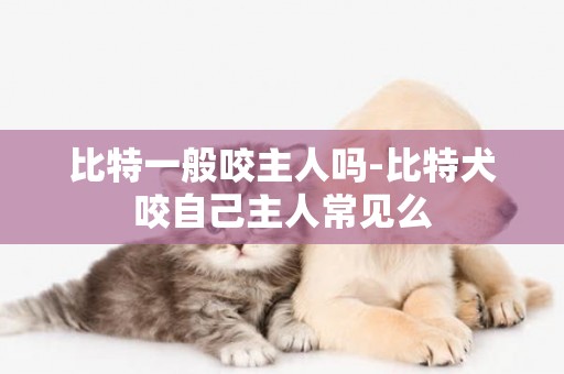 比特一般咬主人嗎-比特犬咬自己主人常見么