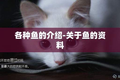 各種魚的介紹-關于魚的資料