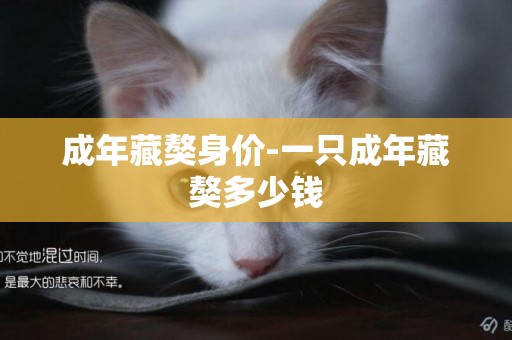成年藏獒身價-一只成年藏獒多少錢