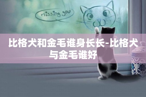 比格犬和金毛誰身長長-比格犬與金毛誰好