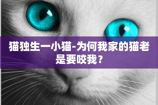 貓獨生一小貓-為何我家的貓老是要咬我？