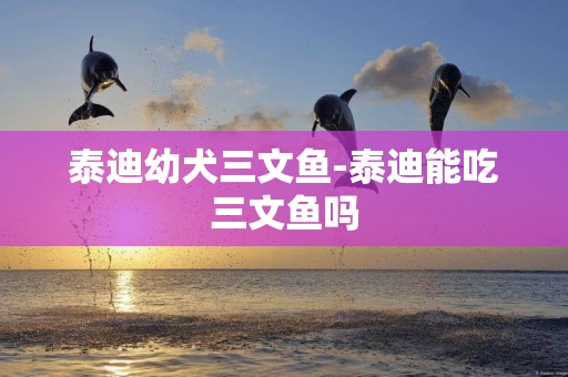 泰迪幼犬三文魚-泰迪能吃三文魚嗎