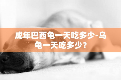 成年巴西龜一天吃多少-烏龜一天吃多少？