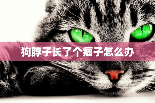 狗脖子長了個瘤子怎么辦