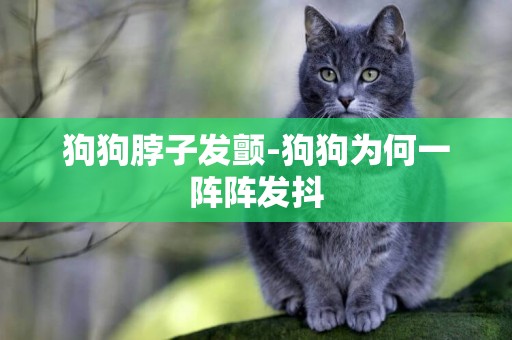 狗狗脖子發顫-狗狗為何一陣陣發抖