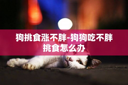 狗挑食漲不胖-狗狗吃不胖挑食怎么辦