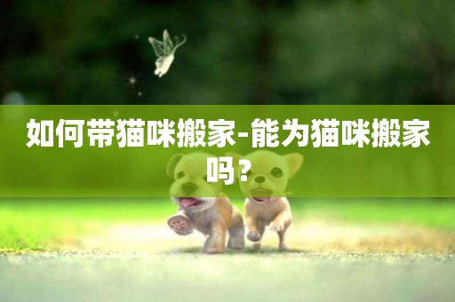 如何帶貓咪搬家-能為貓咪搬家嗎？