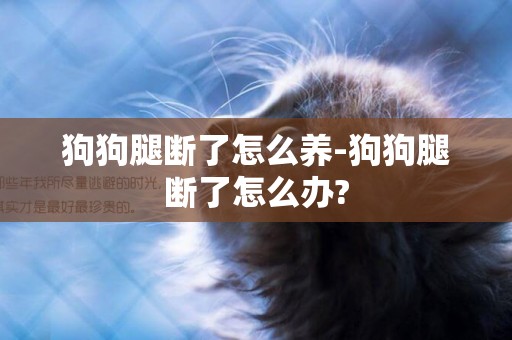 狗狗腿斷了怎么養-狗狗腿斷了怎么辦?