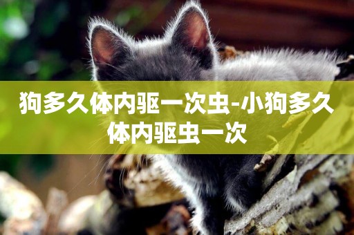 狗多久體內驅一次蟲-小狗多久體內驅蟲一次