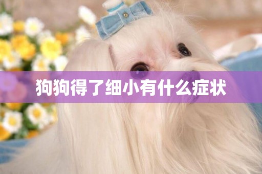 狗狗得了細小有什么癥狀