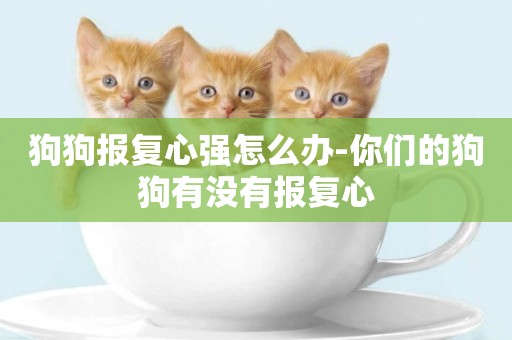 狗狗報復心強怎么辦-你們的狗狗有沒有報復心